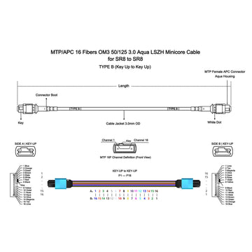 16 Fibers MPO/MTP APC Female OM4 Multimode 50/125 Fiber Patch Cord for 400G SR8